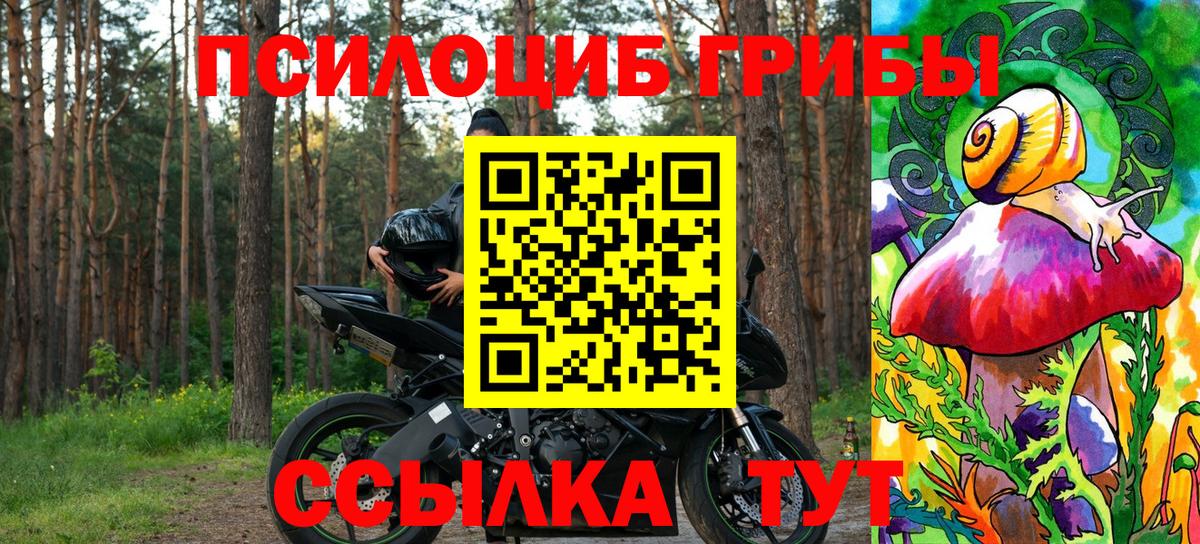 Галлюциногенные грибы прущие грибы Серпухов